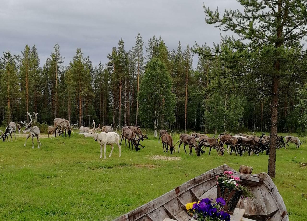 Vuotson Maja B&B Экстерьер фото